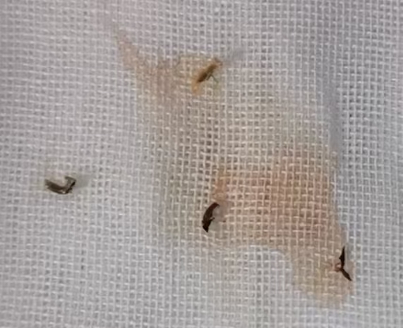 0f636cc8c61a3d8ccf29c6449679bf3