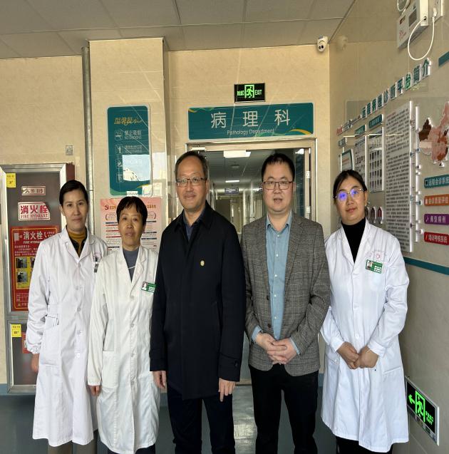 737b2eb5a17f90392afbd81cb2ffd36